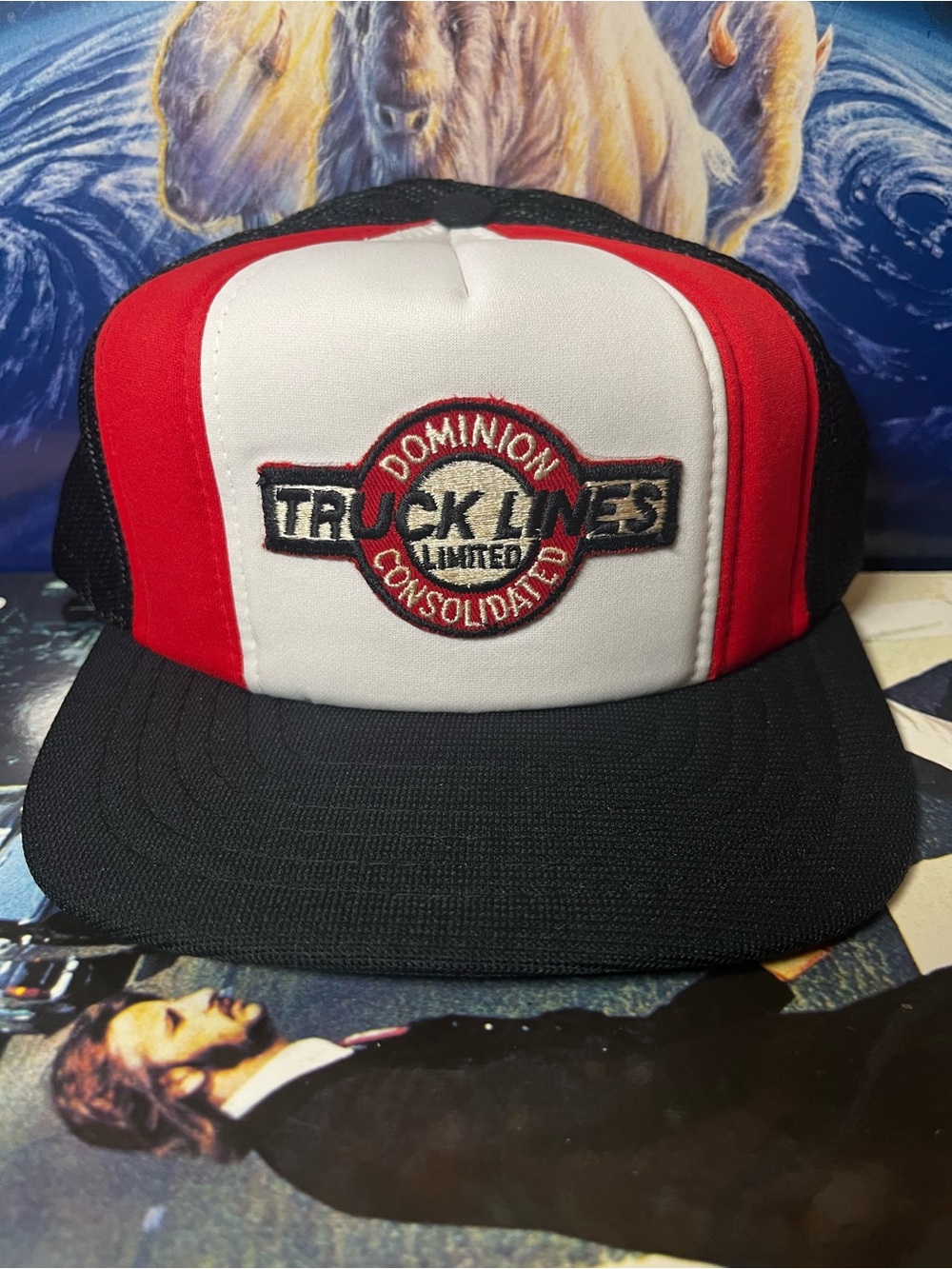 Vintage 80s Dominion truck lines Limited consolidated trucker snapback hat ￼